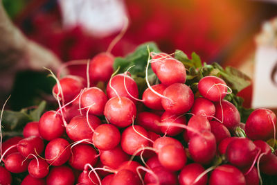 Fresh radish at farmers' market