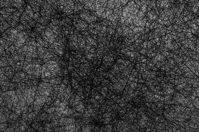 Full frame shot of bare tree