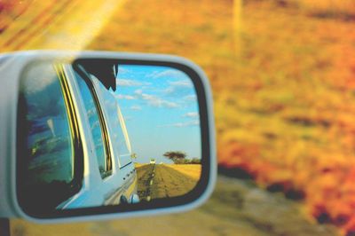 Reflection of car on side-view mirror