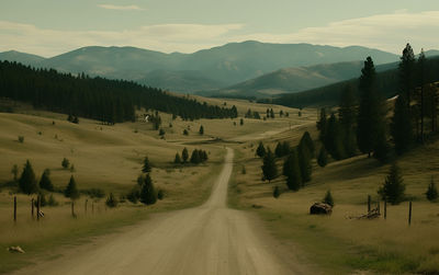 People walking on road against sky