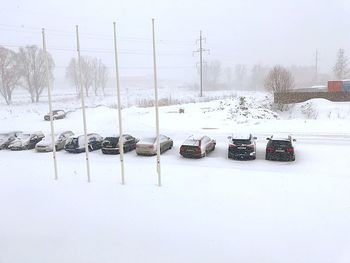 Lounge chairs and snow covered field