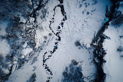 High angle view of snow covered trees on field