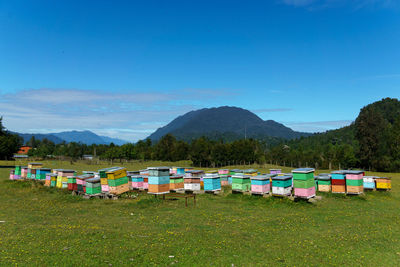 Deck chairs on field against blue sky