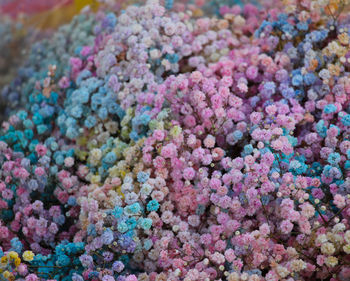 Full frame shot of multi colored candies