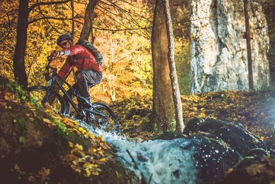 Low angle view of man riding bicycle by trees in forest during autumn