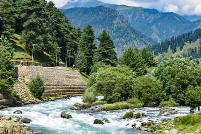 Scenic view of river by trees and mountains