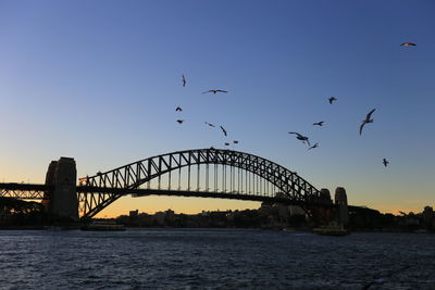 Birds flying over bridge against sky
