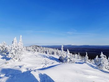 Snow covered landscape against blue sky