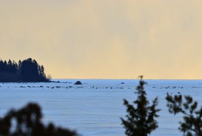 Scenic view of sea against clear sky during winter