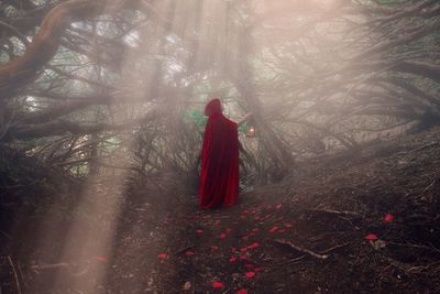 Man standing by tree in forest