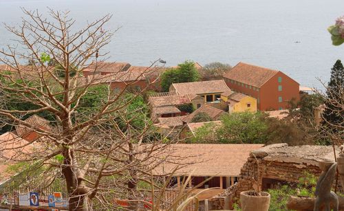 High angle view of houses and trees by sea