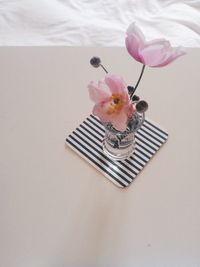 Close-up of pink flowers in plate on table