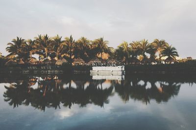 Palm trees and boat reflecting in lake against sky