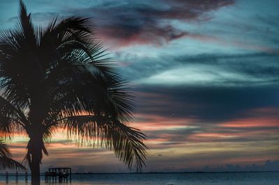 Palm trees by sea against cloudy sky