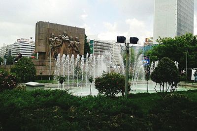 Trees in lawn with buildings in background