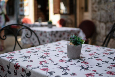 Close-up of potted plant on table