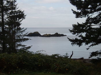 Scenic view of cloudy sky over sea