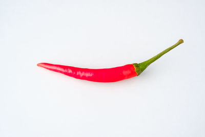 Close-up of red chili pepper against white background