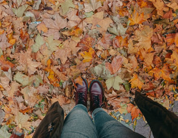 Low section of person standing on autumn leaves