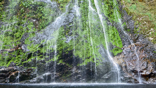 Scenic view of waterfall