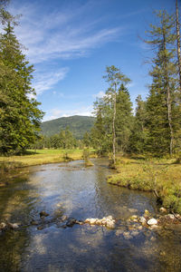 Scenic view of river against sky
