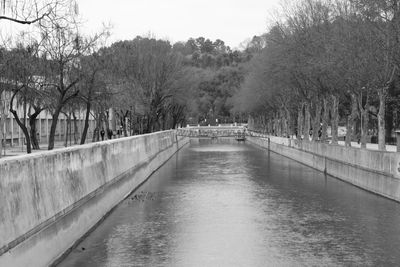 River amidst trees against sky