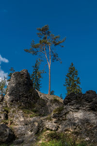 Low angle view of rock formation against sky