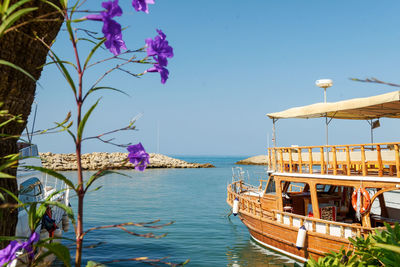 A beautiful old ship with a view of the sea through the flowers. the concept of beautiful nature