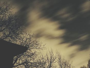 Low angle view of silhouette tree against sky