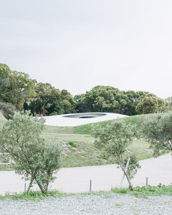 Scenic view of trees on field against clear sky