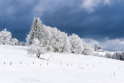 Snow covered field against sky