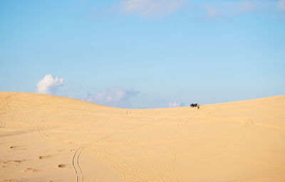 Scenic view of desert against sky