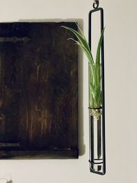 Close-up of vase on table against wall
