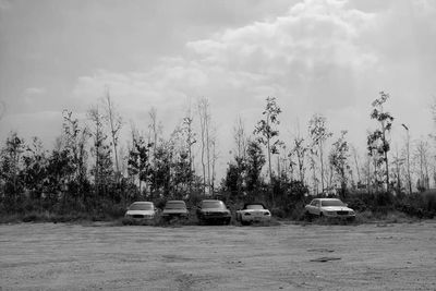 View of trees against cloudy sky