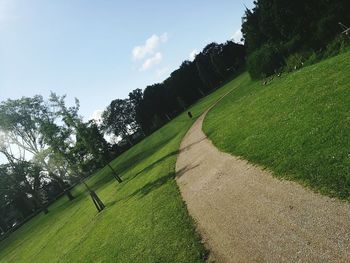 Trees on grassy field