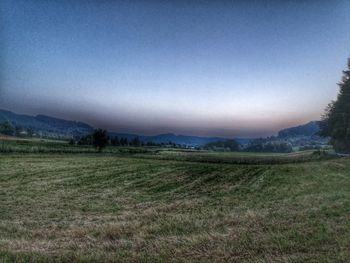 Scenic view of field against clear sky