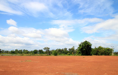 Trees on field against sky