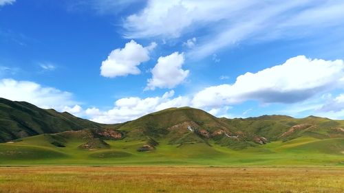 Scenic view of field against sky