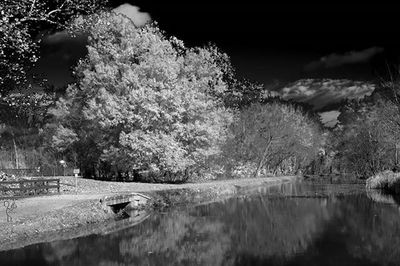 Scenic view of lake