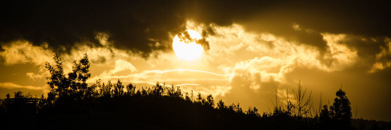 Silhouette trees against sky during sunset