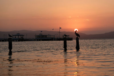 Silhouette people standing by sea against sky during sunset