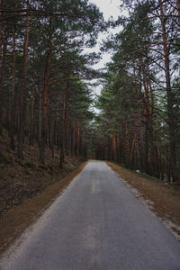 Road amidst trees in forest