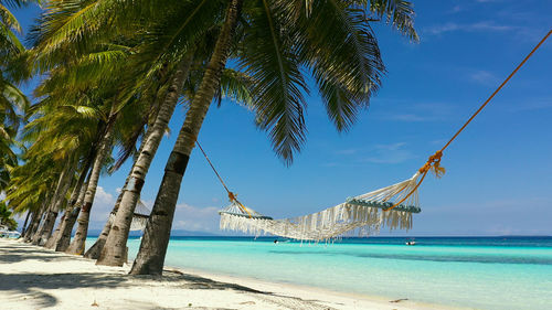 Beautiful tropical island with sand beach and hammock. panglao, philippines. 