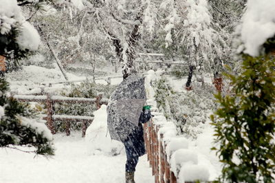 Panoramic view of trees during winter