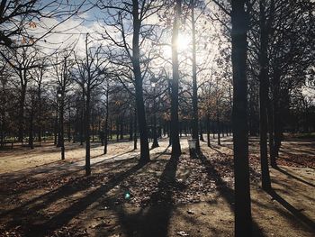 Trees on landscape against sky during autumn