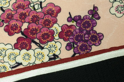 Close-up of multi colored flower