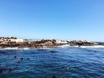 Scenic view of sea against clear blue sky