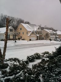 Snow covered houses