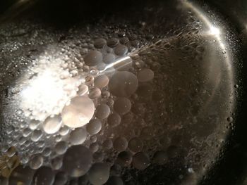 Close-up of coffee in water