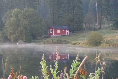 Scenic view of lake by trees and house in forest